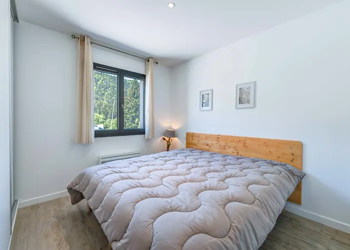 Apartamento Aux Pieds Des Pistes - Appt A Ax-les-Thermes